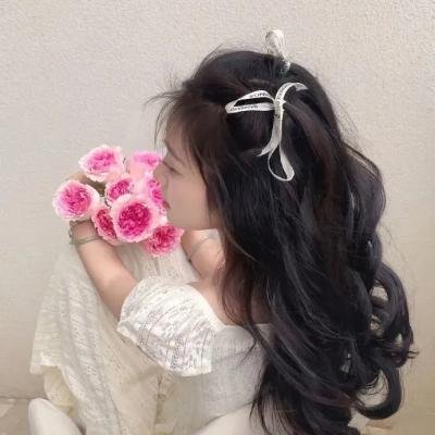 终结杉计划 封面